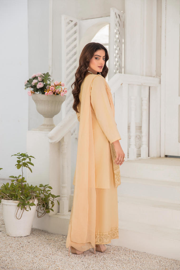 3-PIECE STITCHED EMBROIDERED LAWN-SIMRANS