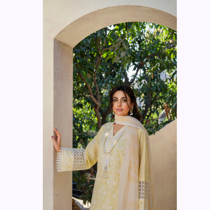 KC-1440 Embroidered Cambric Cotton Farshi Shalwar Ready to Wear 3 Pc - Karma Collection