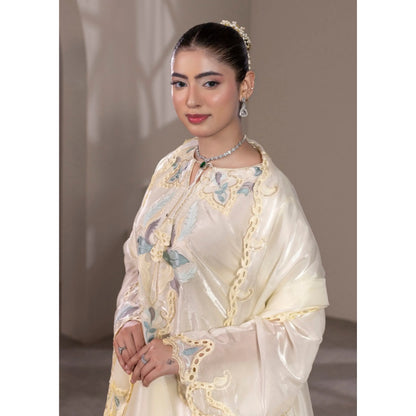 UA-203 Embroidered Festive kaftan Silk Collection by Umnaa | Pakistani Trendy Kaftan Asian Clothing