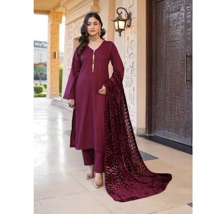 3 Pc Dhanak Dress with Palachi Shawl | Ready-to-wear | Winter Collection |RD