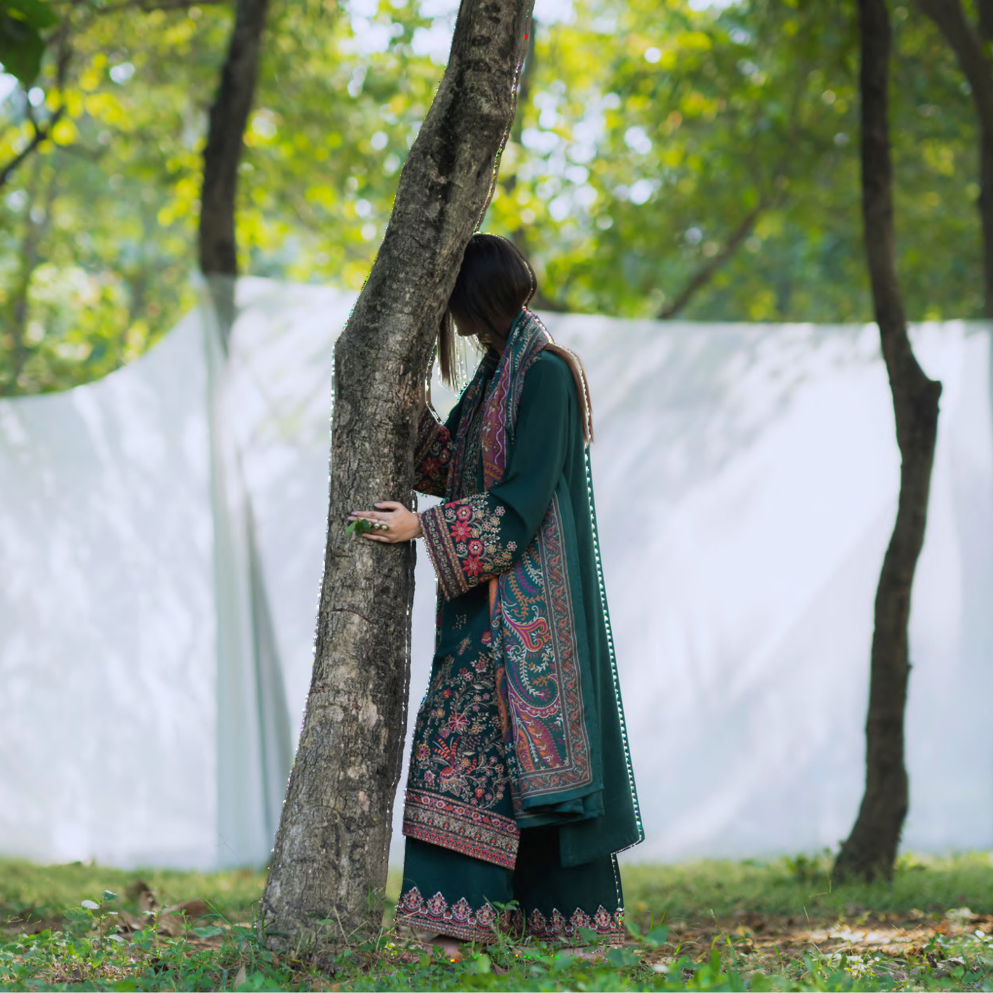 UCA-31 Embroidered Dhanak with Pashmina Shawl Winter Collection by Casuallite