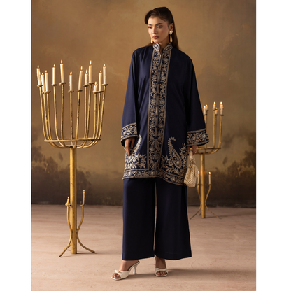 UMS-48 Embroidered Dhanak 2 Pc Co-Ords Set by Simrans