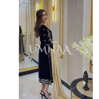 Luxury Embroidered Handwork Velvet Collection