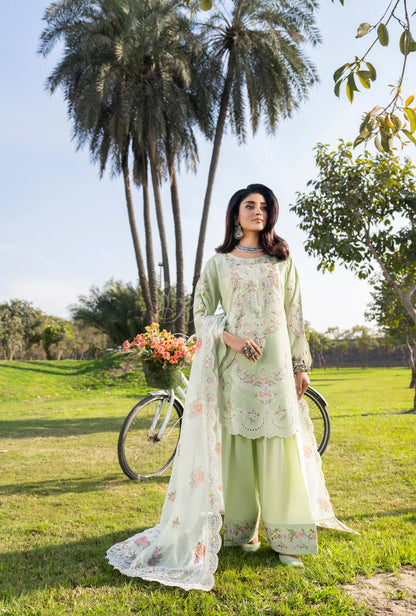 KC-1554 "Chaand Raat" Embroidered Festive Collection by Karma Collection