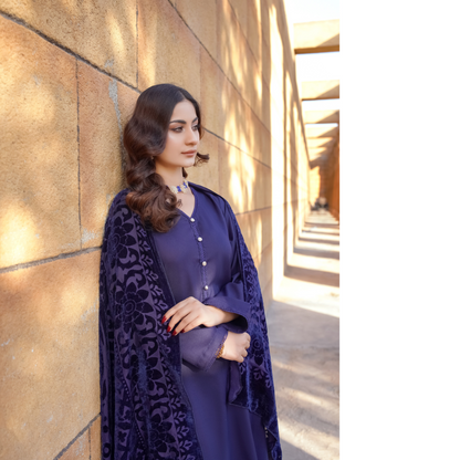 3 Pc Dhanak Dress with Palachi Shawl | Ready-to-wear | Winter Collection |RD
