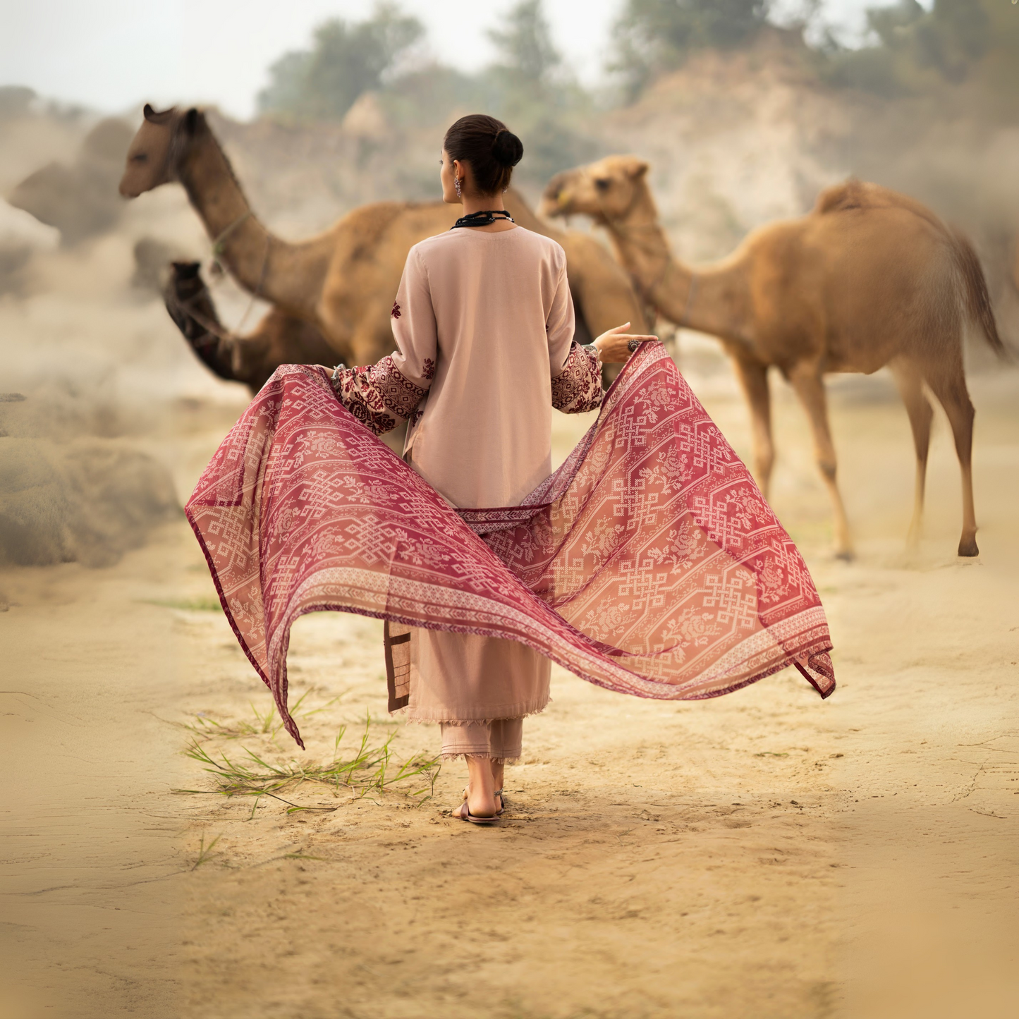 3 Pc Embroidered Khaddar Ready to Wear Collection by Casuallite | UMCAE0801