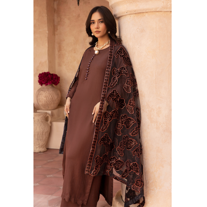 UMS-45 NURA LUX by Simrans Laserkari Dhanak Winter Collection | Ready to Wear | Asian Clothes