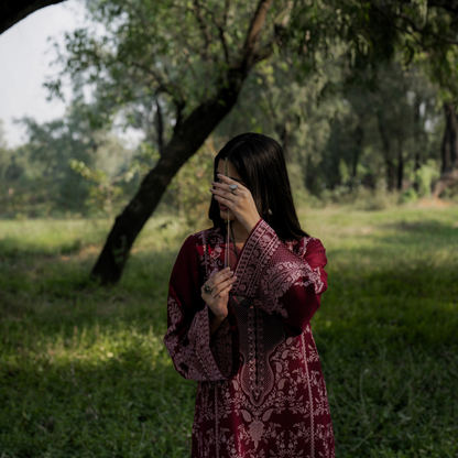 UCA-32 "Khunki" Embroidered Dhanak with Pashmina Wool Shawl Winter Collection by Casuallite