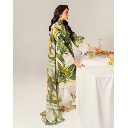 UA-94 3 Pc Embroidered Printed Summer Lawn | Ready to Wear | Umnaa
