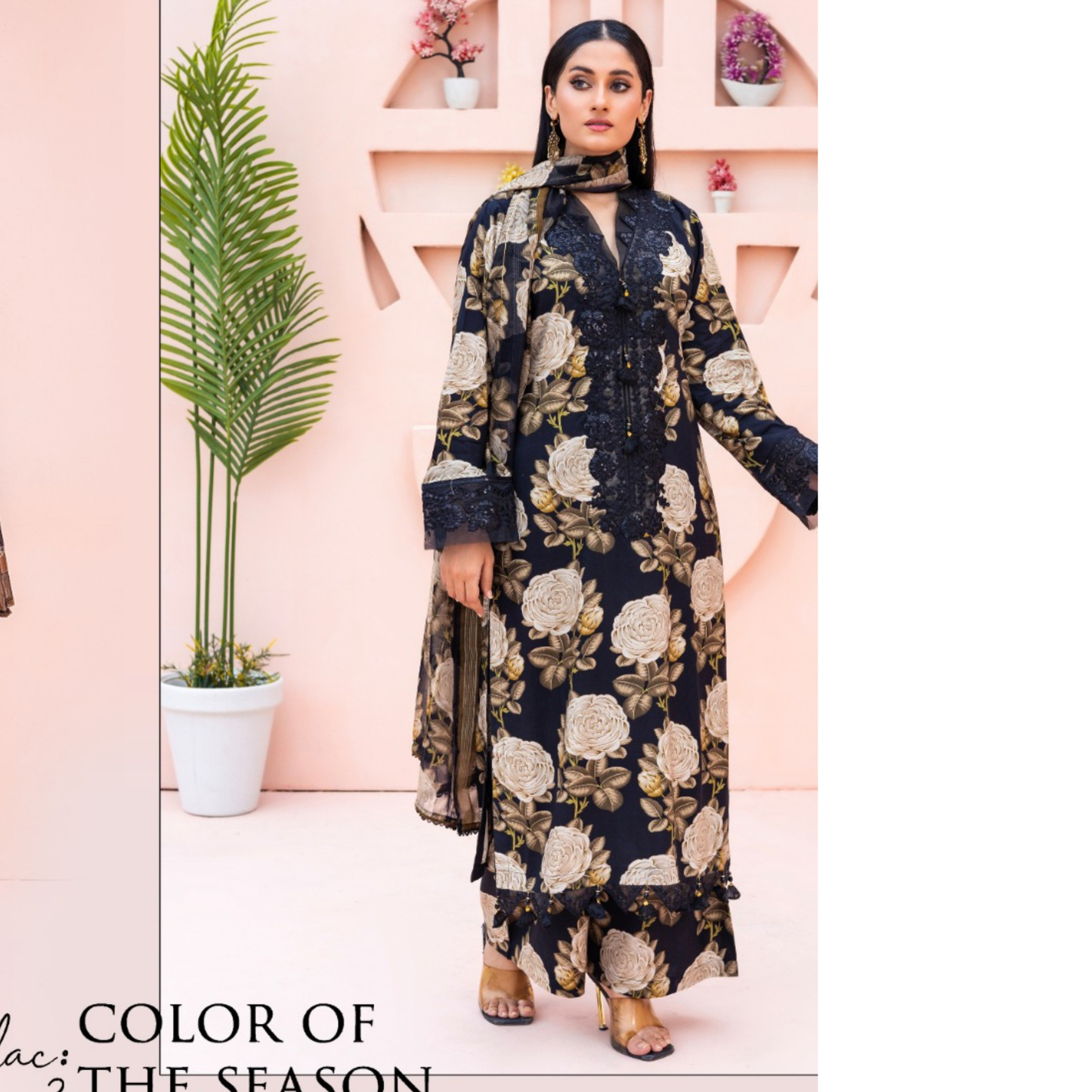 (Multi) DHANAK Embroidered Printed Dress | Winter Collection | Rangz
