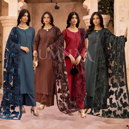 UMS-45 NURA LUX by Simrans Laserkari Dhanak Winter Collection | Ready to Wear | Asian Clothes