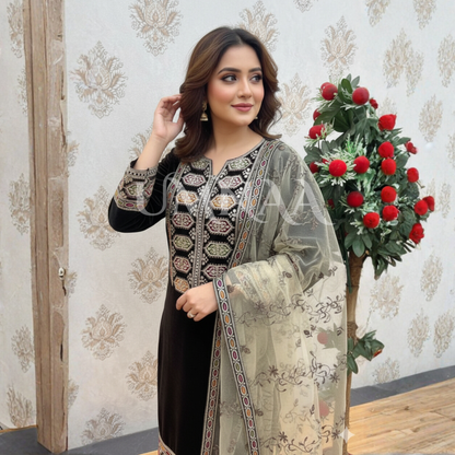 UA-142 Embroidered Luxury Velvet Collection by Umnaa | Asian clothes