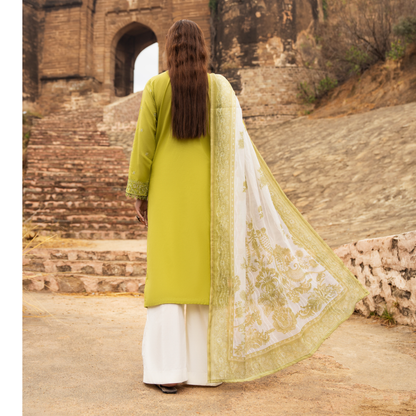 UCA-17 3 Pc Embroidered Lawn Ready to Wear Collection by Casuallite