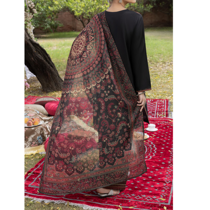 (Black) Embroidered Farshi shalwar Cotton 3 Pc Ready to Wear by Casuallite