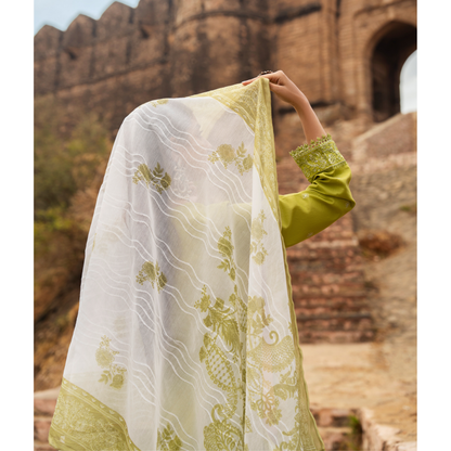 UCA-17 3 Pc Embroidered Lawn Ready to Wear Collection by Casuallite