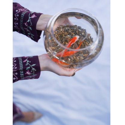 UCA-31 Embroidered Dhanak with Pashmina Shawl Winter Collection by Casuallite