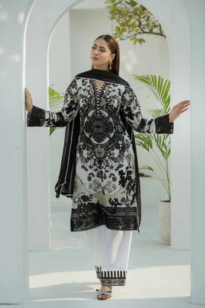 FAIRY 3 Pc Cambric Cotton Embroidered Dress with Chiffon Dupatta - Heera's