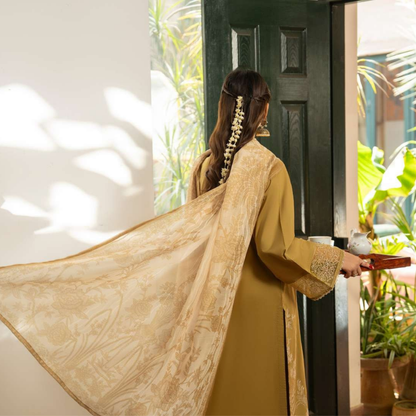 UCA-20 Luxury Cambric Cotton Farshi Shalwar Collection | Ready to Wear | Casuallite