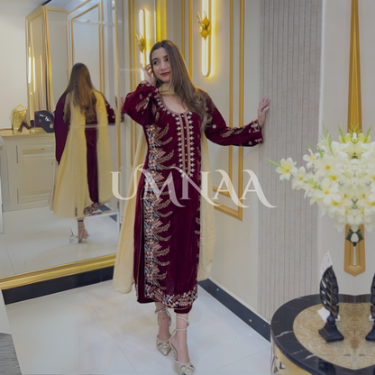 Luxury Embroidered Handwork Velvet Collection