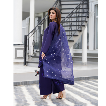 RA-22 Luxury Raw Silk Embroidered Farshi Shalwar Best Selling Collection |Ready to Wear | Raniya.h