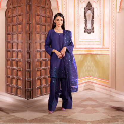 RA-22 Luxury Raw Silk Embroidered Farshi Shalwar Best Selling Collection |Ready to Wear | Raniya.h