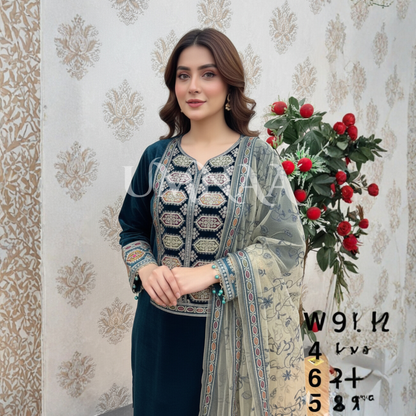 UA-142 Embroidered Luxury Velvet Collection by Umnaa | Asian clothes