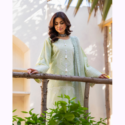 KC-1445 Embroidered Cambric Cotton Farshi Shalwar Ready to Wear 3 Pc - Karma Collection