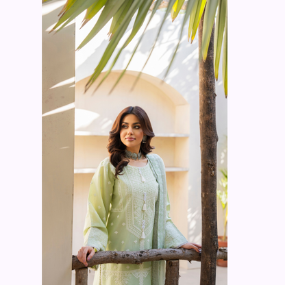 KC-1445 Embroidered Cambric Cotton Farshi Shalwar Ready to Wear 3 Pc - Karma Collection