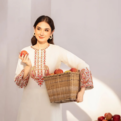 UA-49 Embroidered Cambric  Cotton with Pockets 2 Pc Co Ord Set Dress | Ready to wear | UMNAA