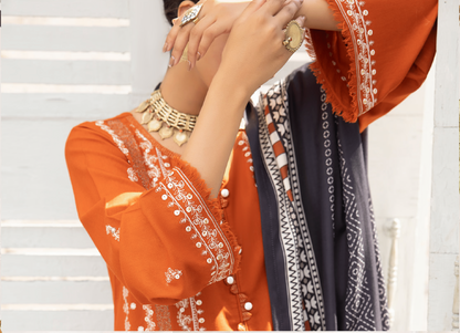 3-Piece Embroidered Dhanak Dress with Pashmina Silk Shawl
