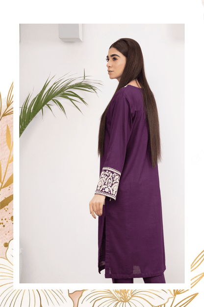 2-Piece Stitched Slub khaddar Outfit By RANIYA.H