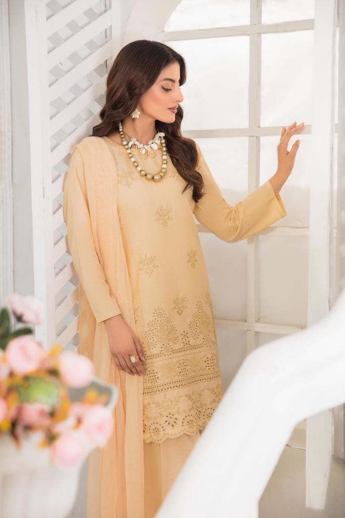3-PIECE STITCHED EMBROIDERED LAWN-SIMRANS
